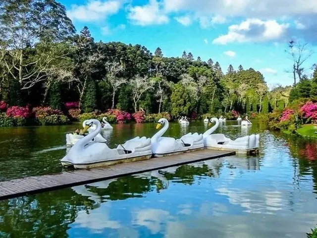 Imagem 4: Casa em Canela Rs com 3 Dormitorios