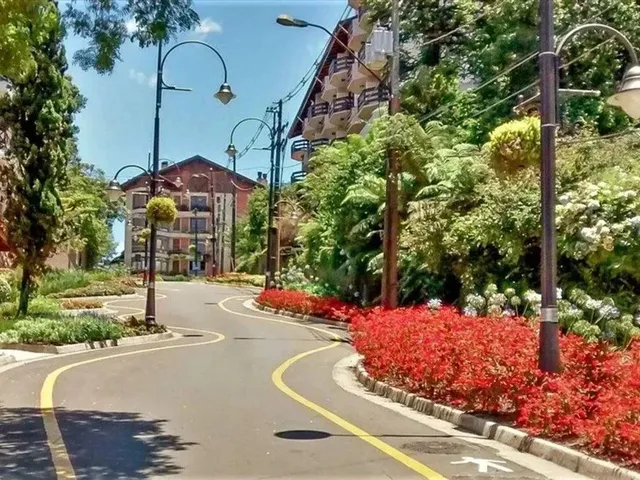 Imagem 7: Casa em Canela Rs com 3 Dormitorios