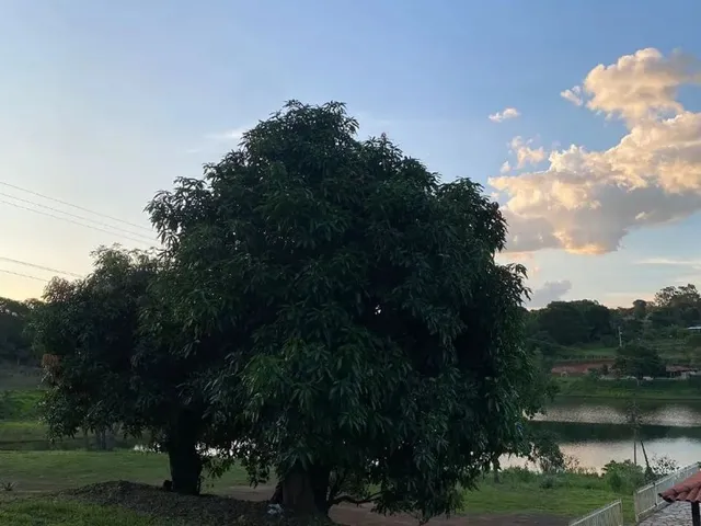 Imagem 8: Kitnets Chácara Br153 Jaiara Anapolis