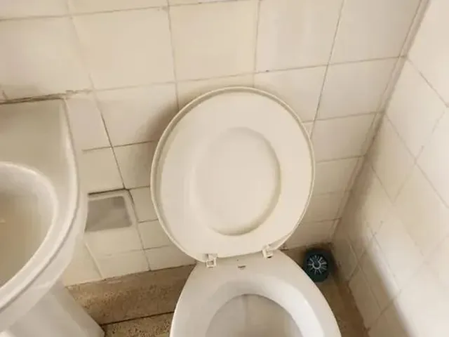 Imagem 14: Imóvel para Aluguel Tem 133 Metros Quadrados com 3 Quartos em Centro...