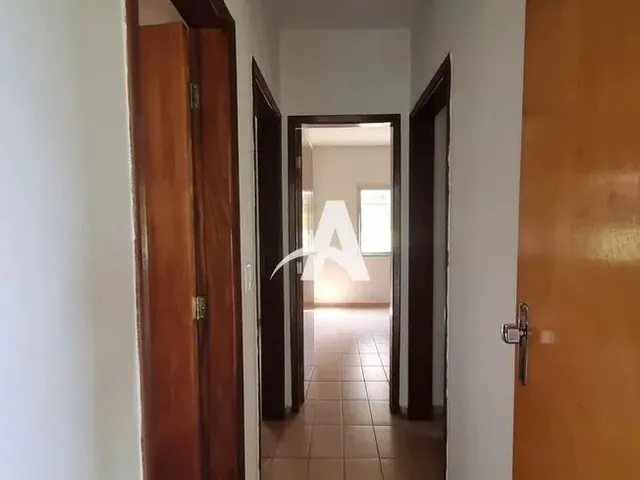 Imagem 13: Aluguel Apartamento Umuarama