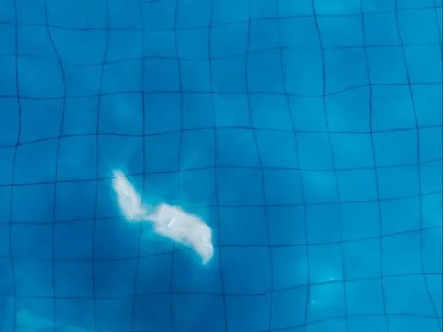 Imagem: Procura-Se Quarto pra Alugar