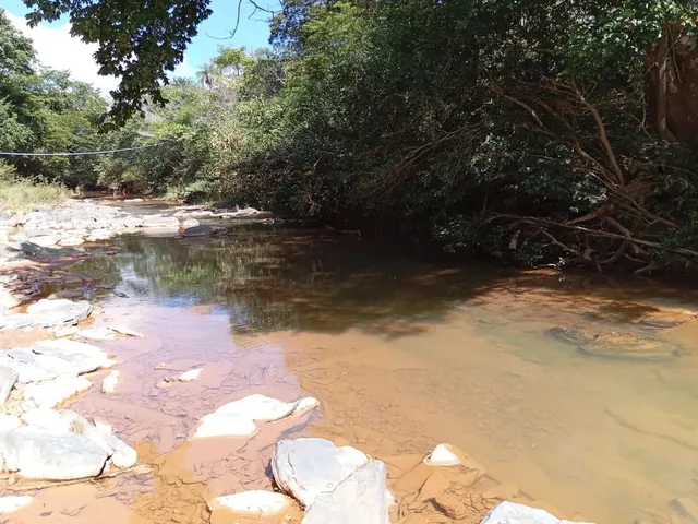 Imagem 4: Sitio/Água de Rio,Poço Artesiano,Casa com 4 Quartos,Curral/Escriturado.