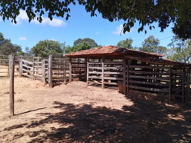 Imagem 12: Sitio/Água de Rio,Poço Artesiano,Casa com 4 Quartos,Curral/Escriturado.