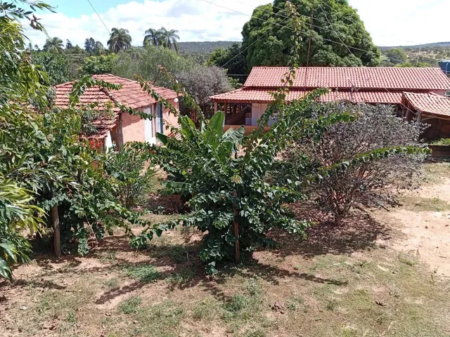 Imagem 16: Sitio/Água de Rio,Poço Artesiano,Casa com 4 Quartos,Curral/Escriturado.