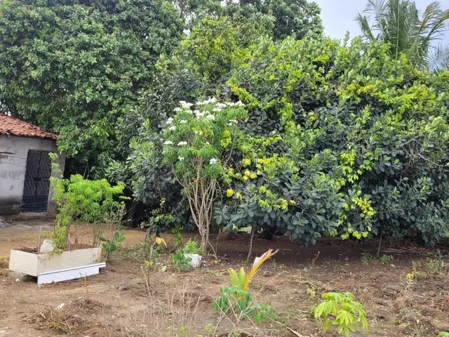 Imagem 8: Vende-Se Duas Casas no Petrópolis