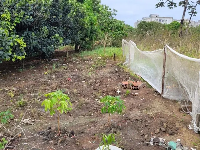 Imagem 10: Vende-Se Duas Casas no Petrópolis