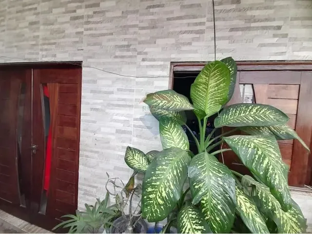 Imagem 8: Casa Espaçosa 3 Quartos em Jacintinho, Maceió
