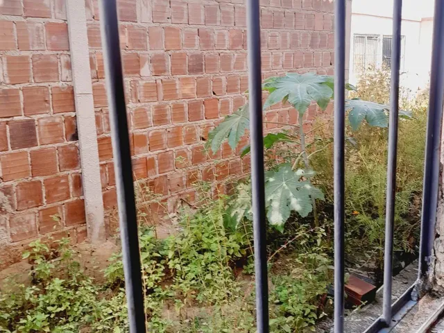 Imagem: Casa no Conjunto Maceió 1