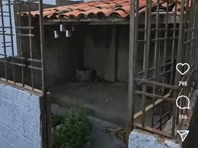 Imagem 9: Casa no Farol com 500M² de Terreno e 3 Quartos, Sendo 1 Suíte