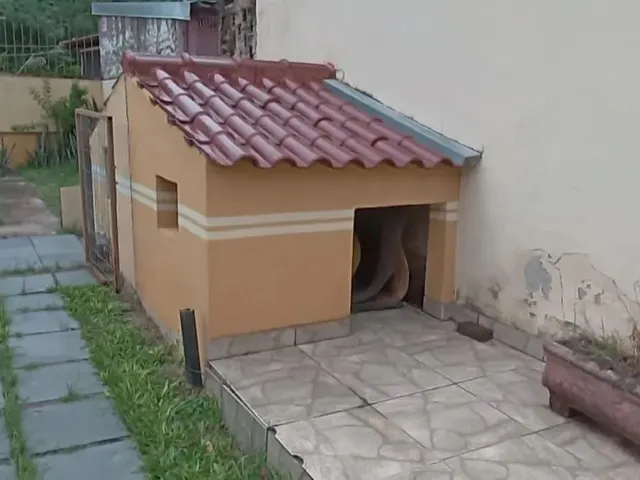 Imagem 6: Casa 03 Dormitórios, com Páteo