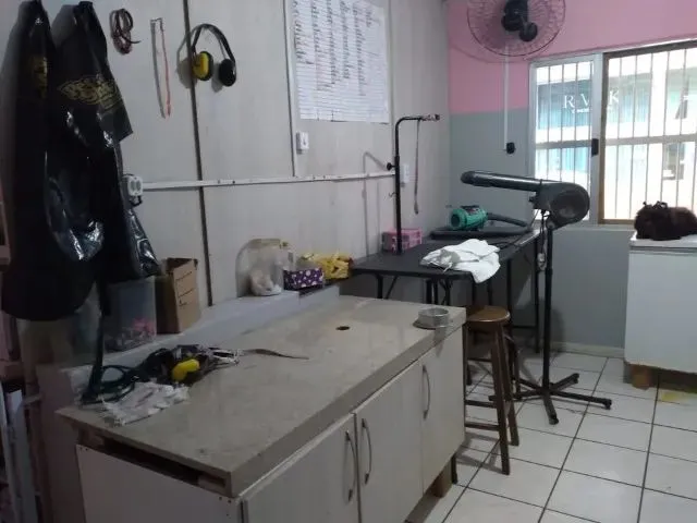 Imagem: Pet Shop Montado a Venda