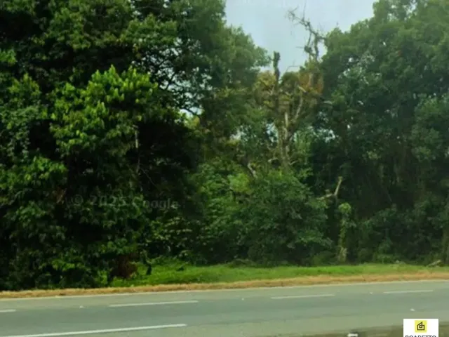 Imagem 7: Área À Venda - Br-101, Araquari/Sc
