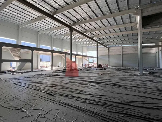 Imagem: Aluguel Armazém Comercial 700 Metros Camboriú