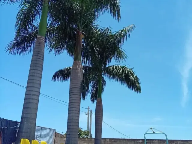 Imagem: Vendo Ou Troco Chácara