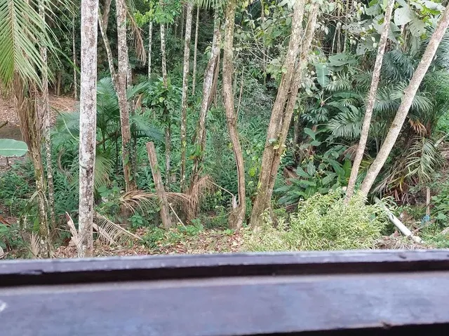 Imagem 6: Casa Sozinha no Terreno