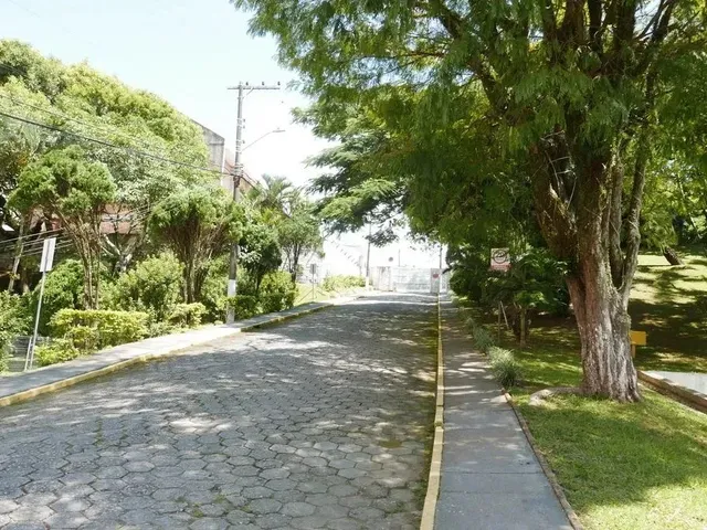 Imagem 14: Locação Apartamento Florianópolis Sc