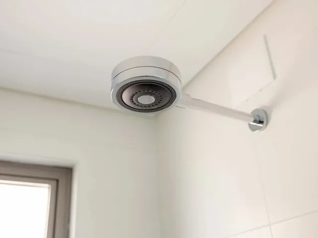 Imagem 3: Novo Estreito Apartamento com 2 dormitórios