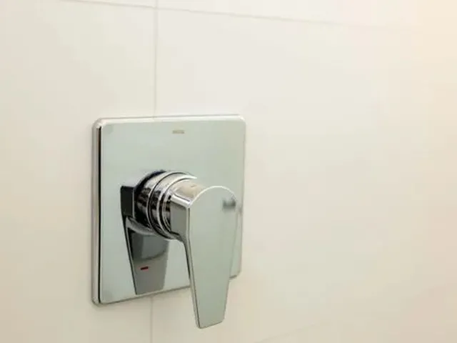 Imagem 9: Novo Estreito Apartamento com 2 dormitórios