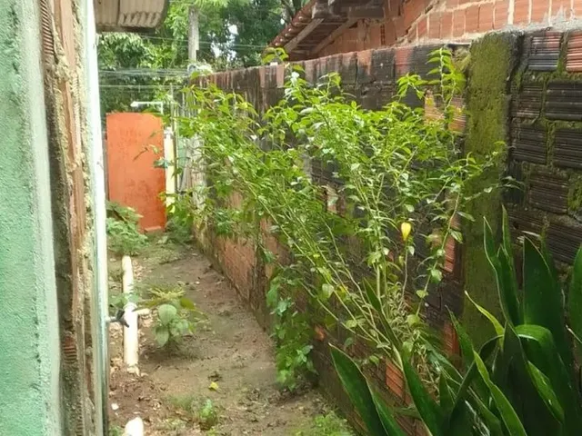 Imagem 3: Aluga-Se para Carnaval
