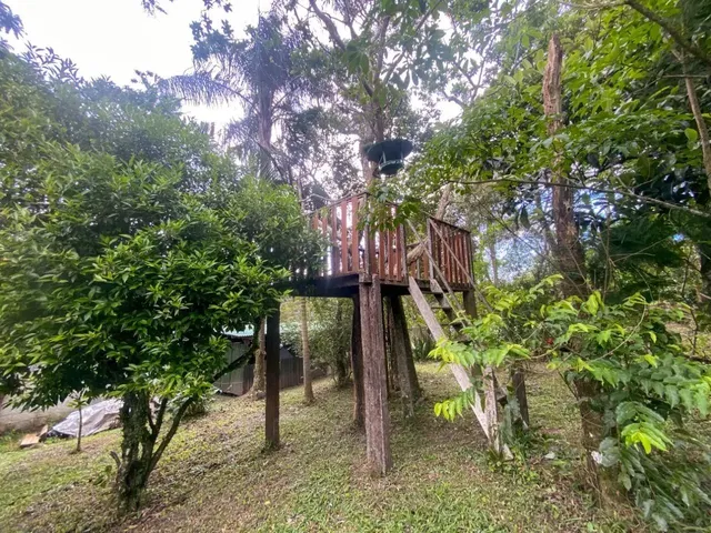 Imagem 10: Casa em Ratone com Terreno de 9.338 M²