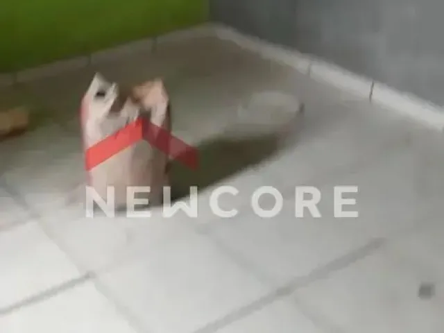 Imagem 7: Casa em Rua Braz Sátiro de Souza - Aclimação - Uberlândia/Mg