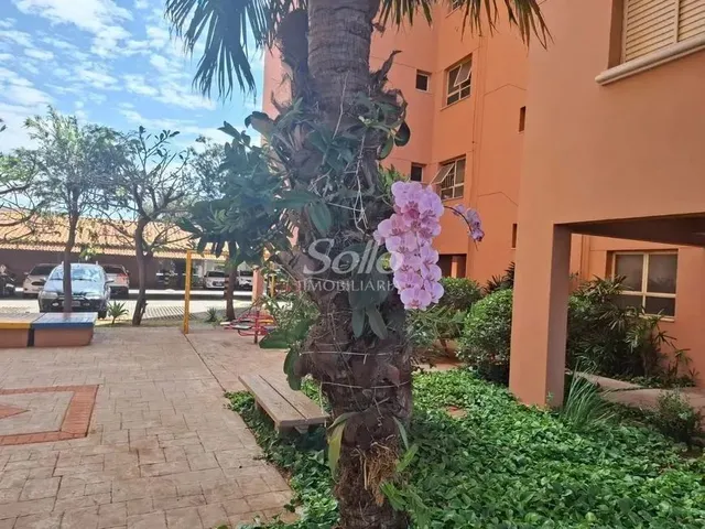 Imagem: Venda Apartamento Presidente Roosevelt