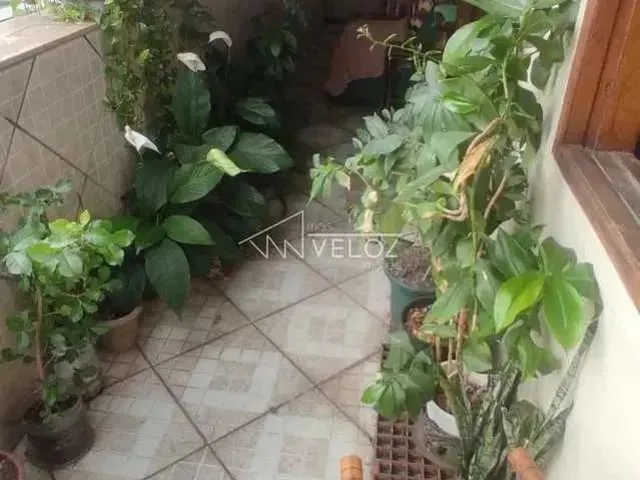 Imagem 9: Apartamento : / Residencial / Centro