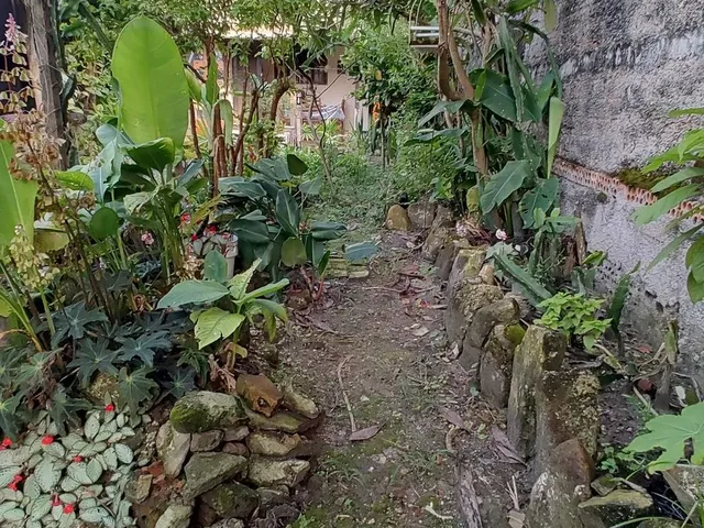 Imagem: Casa no Centro