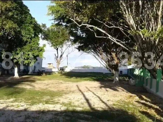 Imagem 2: Privê Jardim dos Ipês (C/B