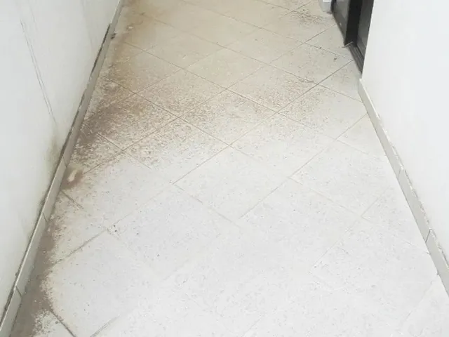 Imagem 7: Apartamento de 02 Quartos em Viçosa-Mg