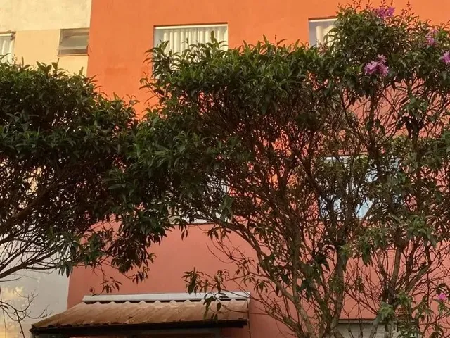 Imagem: Cobertura no Bairro santa Clara, em Viçosa-Mg