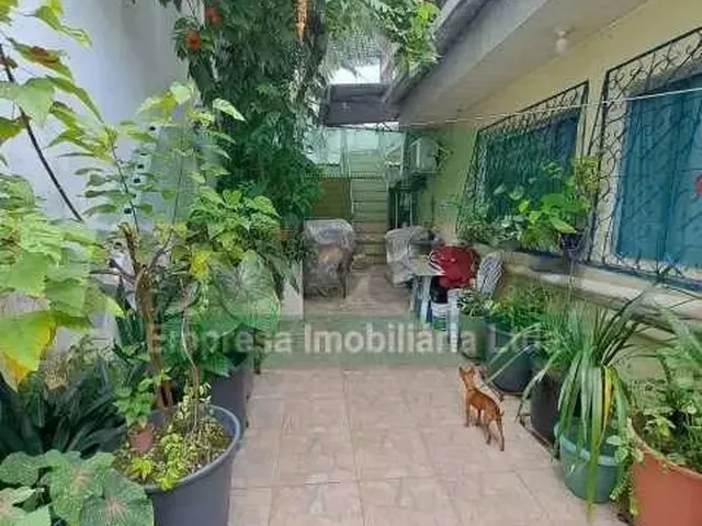 Imagem 7: Casa de Rua : / Residencial / Dom Pedro