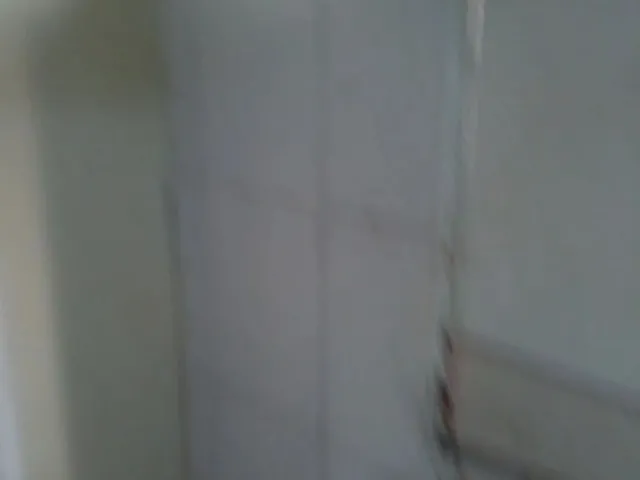 Imagem 4: Kitnet para Solteiro Ou Casal Sem Filhis