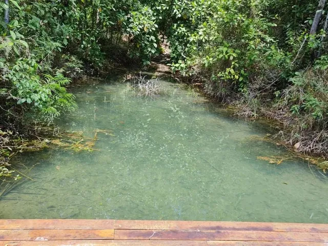 Imagem 8: Arraial Dajuda Oportunidade