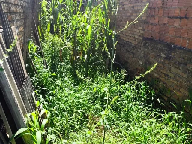 Imagem 6: Casa com 3 Quartos À Venda - Grande Terreno