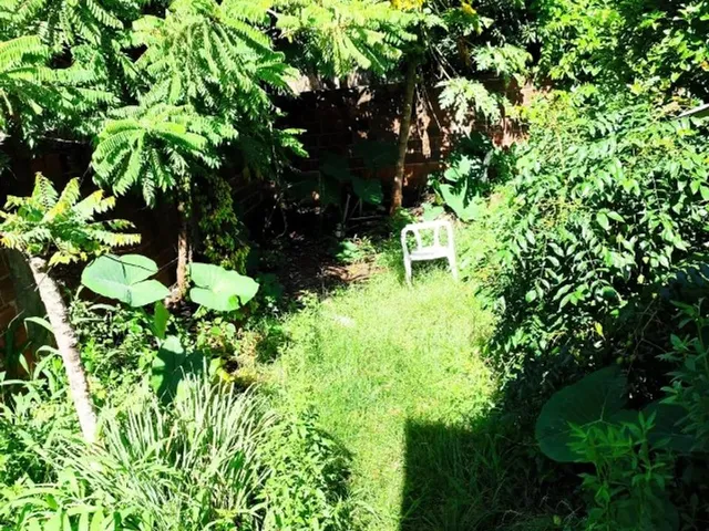 Imagem 7: Casa com 3 Quartos À Venda - Grande Terreno