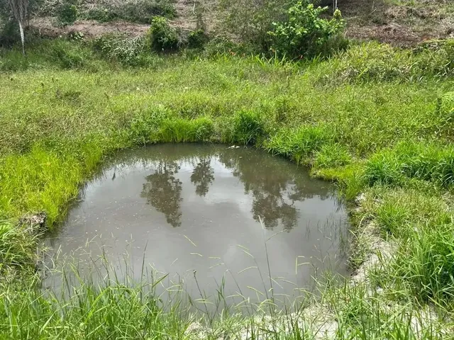 Imagem 1: Sítio À Venda no Vale Verde