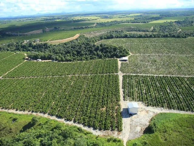 Imagem: Fazenda Rodovia Itabela