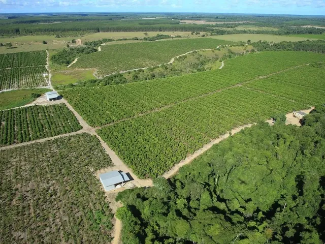 Imagem 5: Fazenda Rodovia Itabela