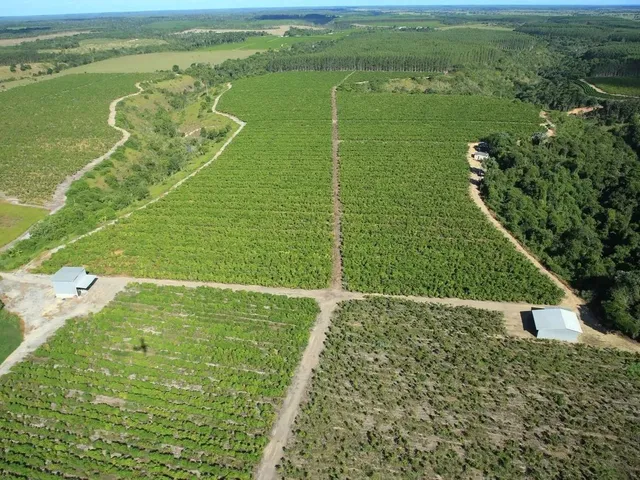 Imagem 7: Fazenda Rodovia Itabela
