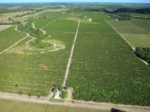 Imagem 10: Fazenda Rodovia Itabela