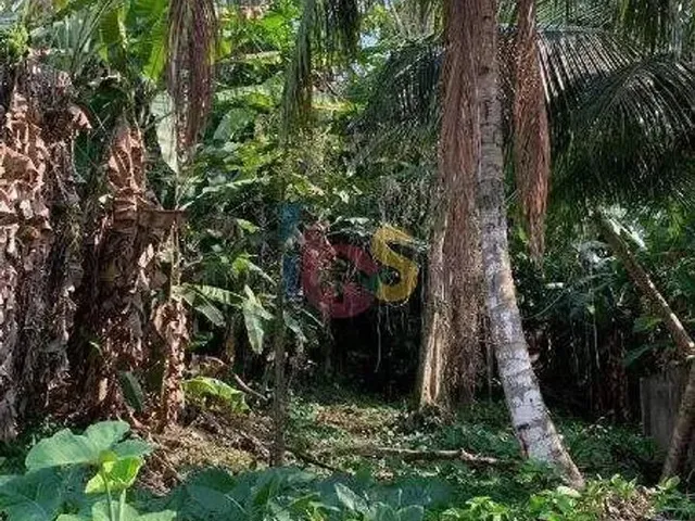 Imagem 6: Casa com Potencial para Uso Comercial Ou Construção de Prédio de Ambos os Seguimentos