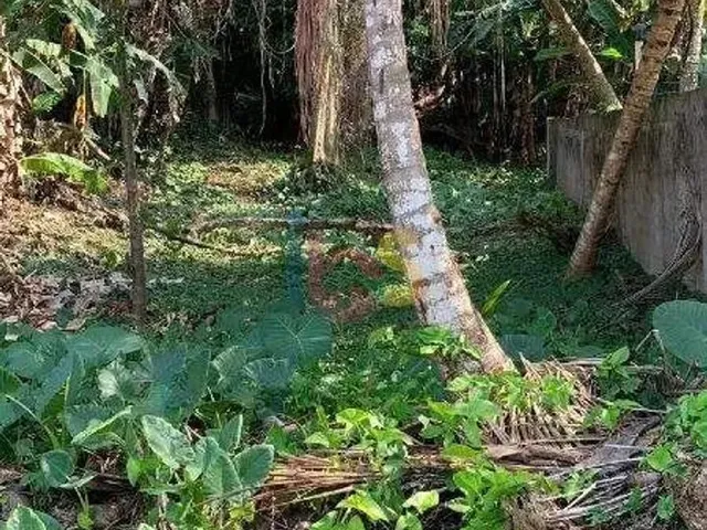 Imagem 3: Casa com Potencial para Uso Comercial Ou Construção de Prédio de Ambos os Seguimentos