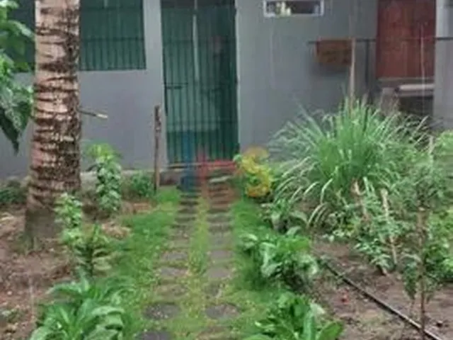 Imagem 15: Vendo Casa no Centro em Canavieiras