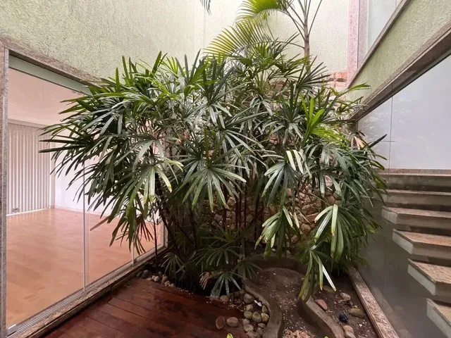 Imagem 14: Jo646A - Excelente Casa com 3 Quartos (Reversível para 4) com 244 M² em São Francisco