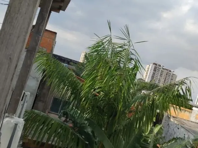 Imagem 3: Alugo Ótima Casa de 3 Andares na Caripunas 762 Casa 4