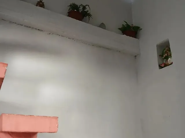 Imagem 4: Casa Toda Mobiliada