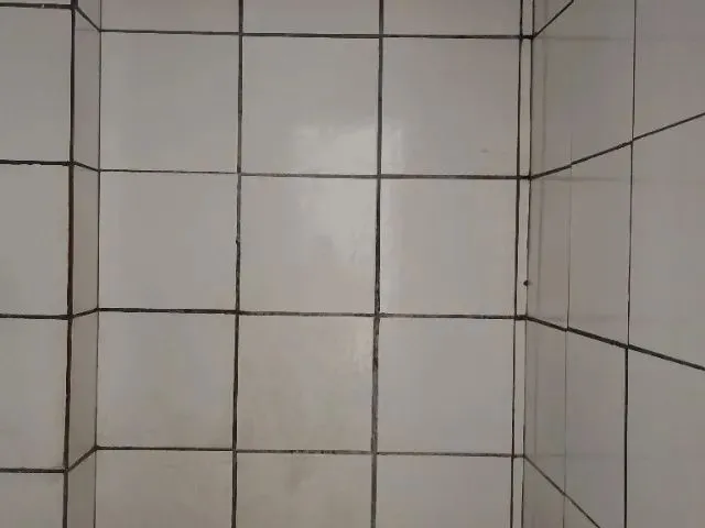 Imagem 5: Apartamento em Campina de Brotas