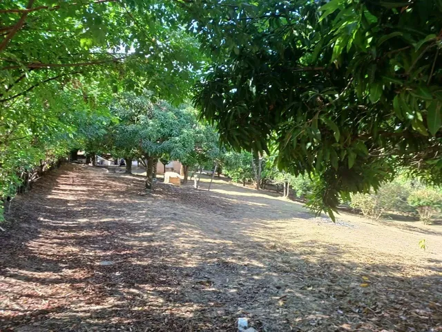 Imagem: Chácara